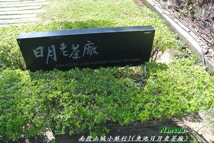 南投山城小旅行7