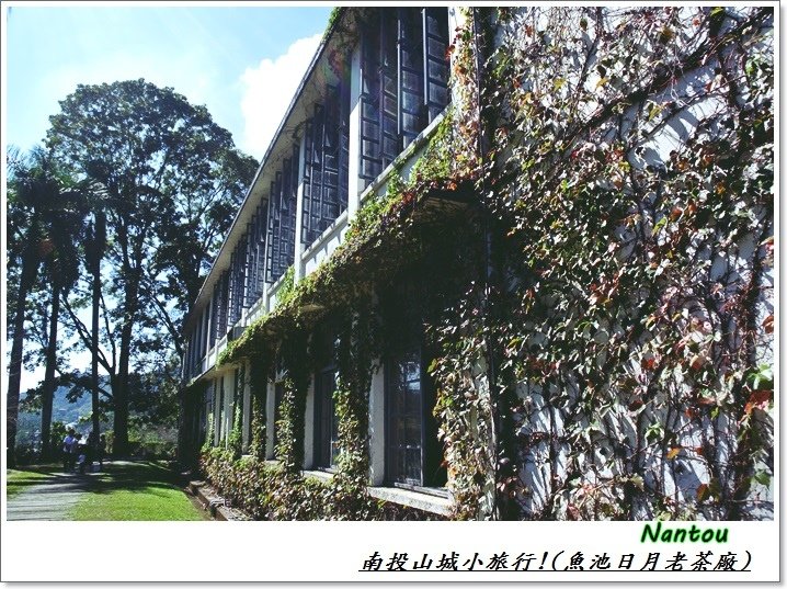 南投山城小旅行8