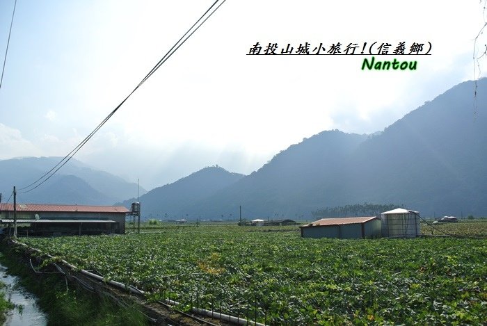 南投山城小旅行30