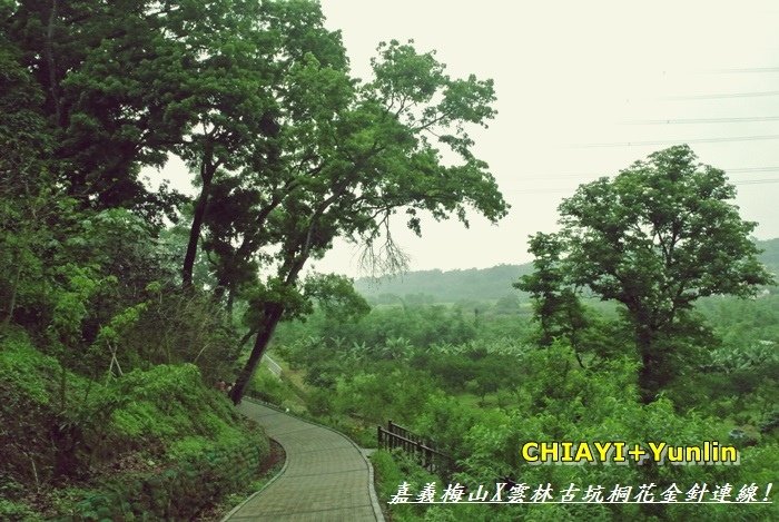 嘉義梅山+雲林古坑連線13