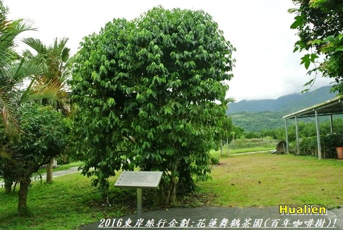 2016東岸旅行啟程52