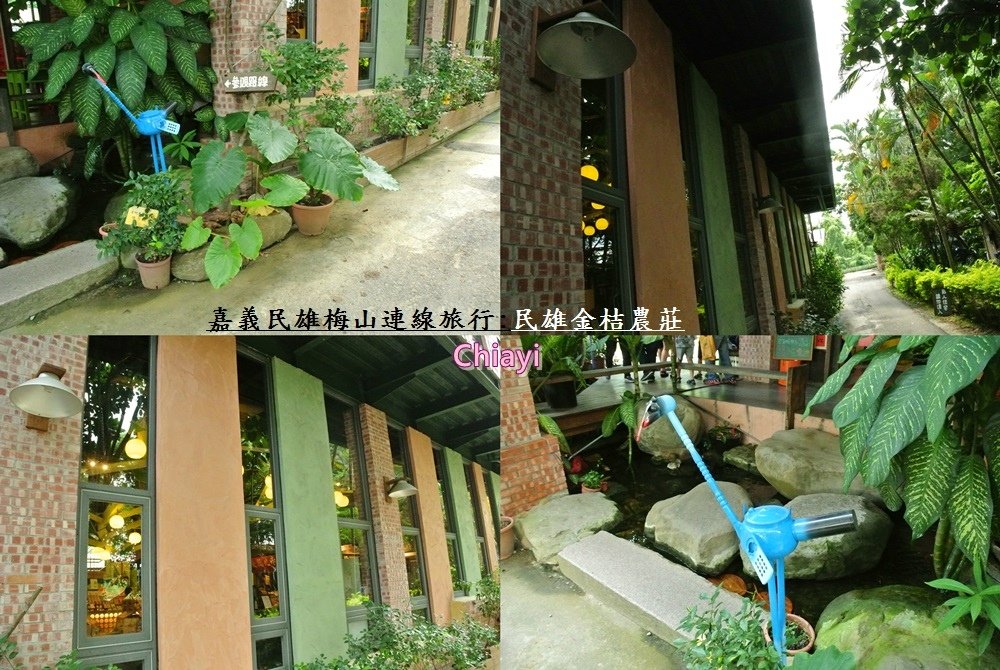 嘉義民雄金桔農莊5.jpg