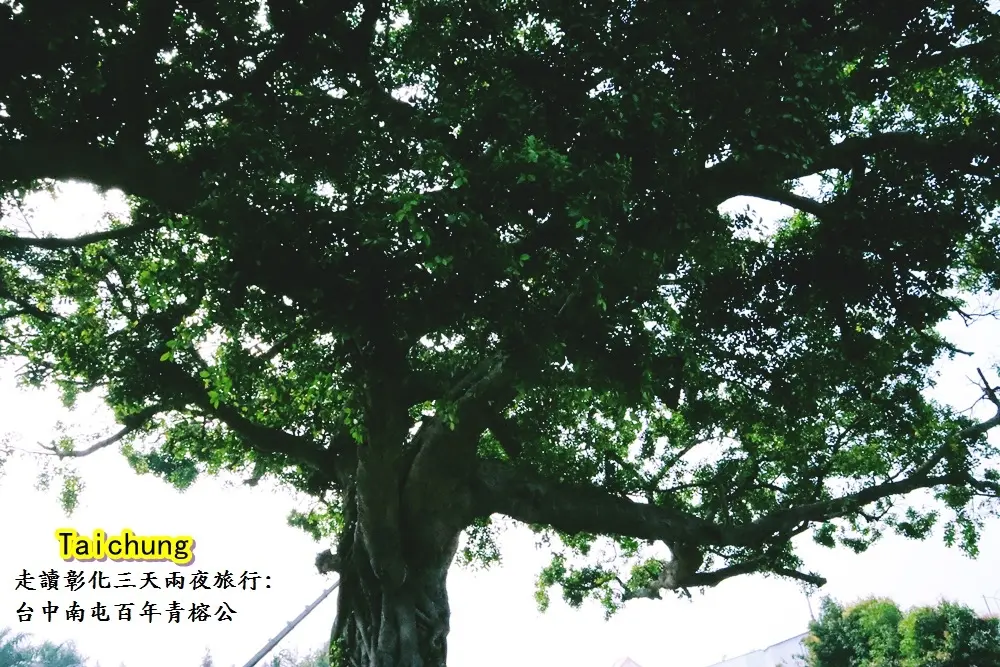 走讀彰化旅行9.JPG