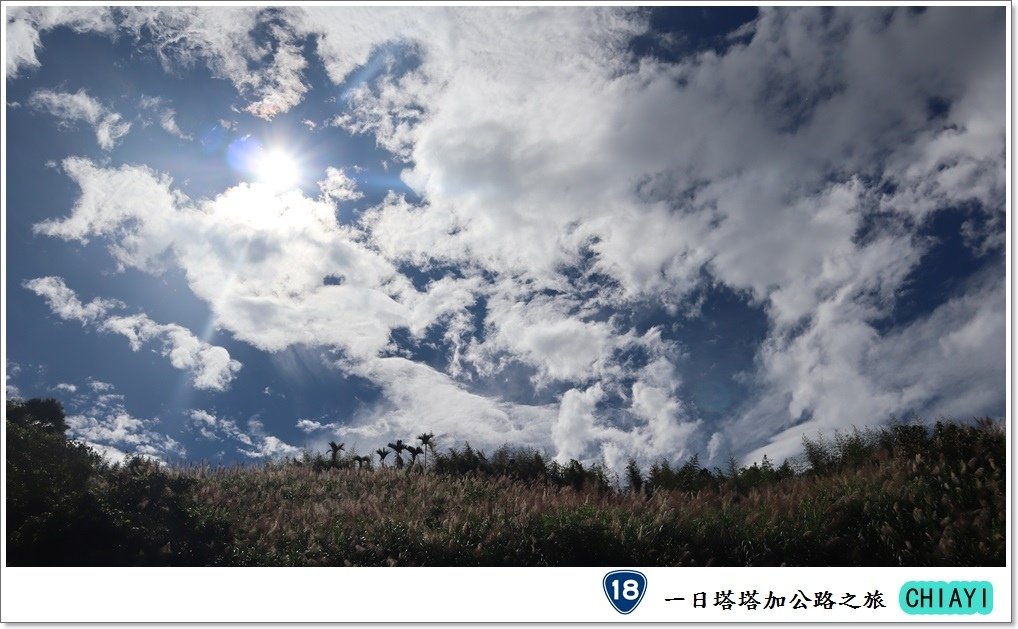 一日塔塔加公路之旅1.JPG