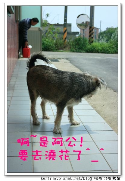 nEO_IMG__MG_2677.jpg