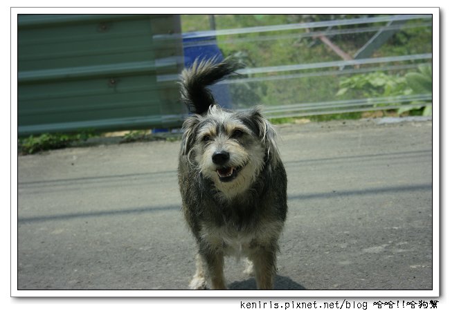 nEO_IMG__MG_2680.jpg
