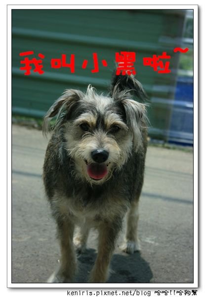 nEO_IMG__MG_2683.jpg