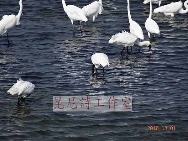 DSC01227.JPG