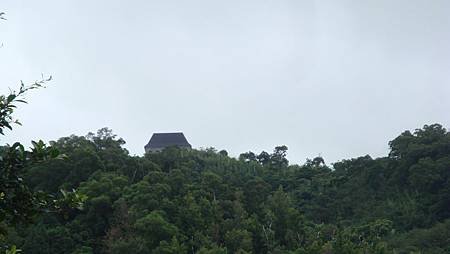 DSC07774.JPG