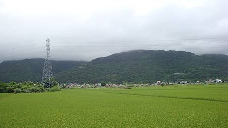 DSC07784.JPG