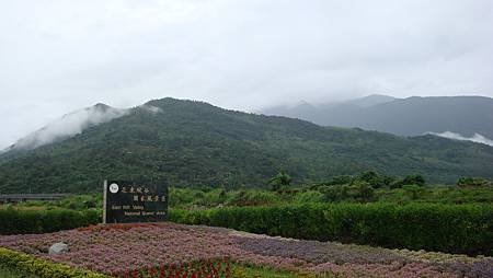 DSC07806.JPG