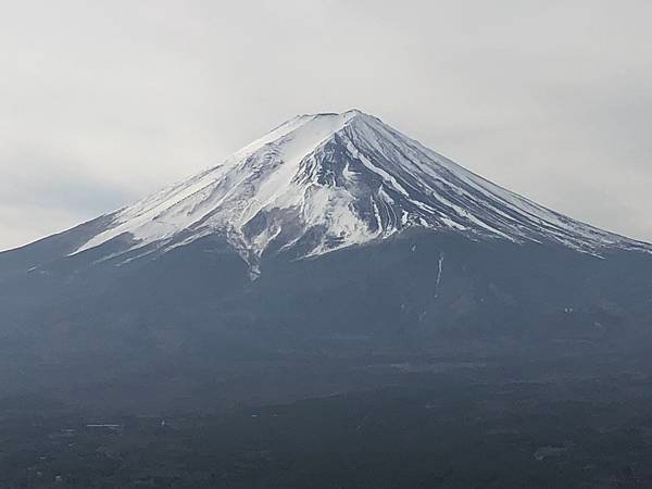 IMG_5629.JPG