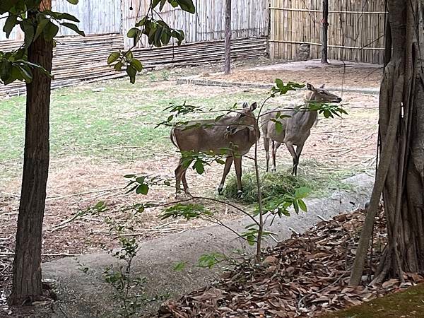 IMG_8703.JPG