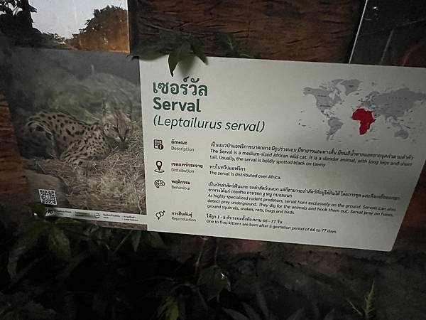 IMG_8819.JPG