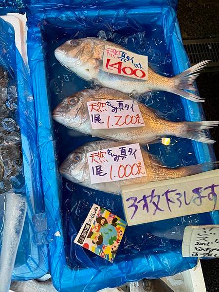 伊豆,熱海,東京5日4夜之旅-19.10.2023 - 23