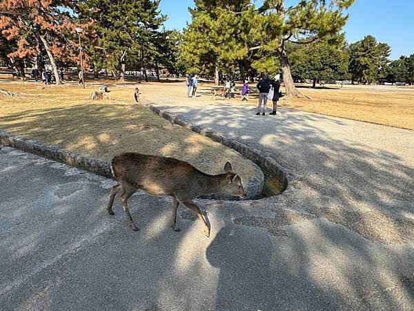 琵琶湖、奈良、大阪 01.12.2023 to 06.12.