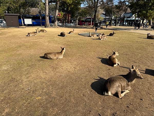 琵琶湖、奈良、大阪 01.12.2023 to 06.12.