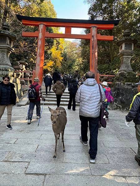 琵琶湖、奈良、大阪 01.12.2023 to 06.12.