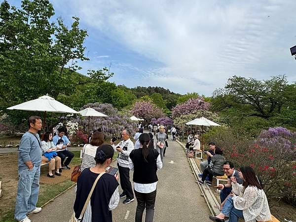 茨城縣、櫪木縣、秩父市、河口湖、東京 - 19.04.202