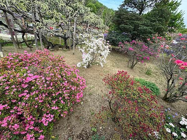 茨城縣、櫪木縣、秩父市、河口湖、東京 - 19.04.202