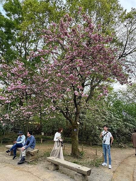 茨城縣、櫪木縣、秩父市、河口湖、東京 - 19.04.202