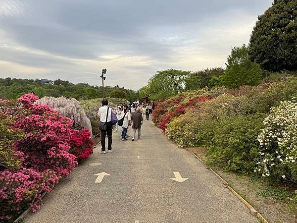 茨城縣、櫪木縣、秩父市、河口湖、東京 - 19.04.202