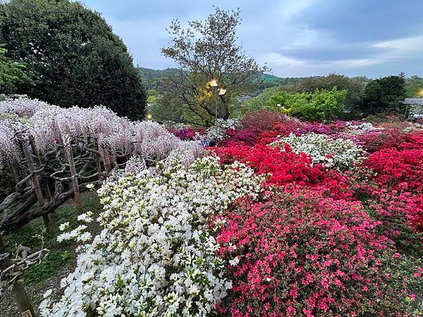 茨城縣、櫪木縣、秩父市、河口湖、東京 - 19.04.202