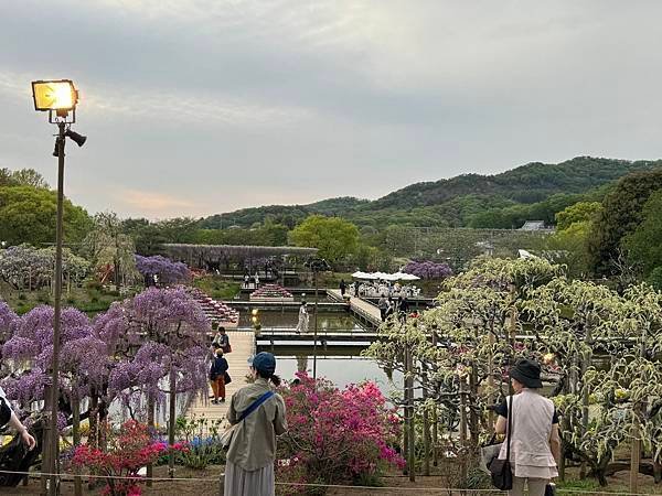 茨城縣、櫪木縣、秩父市、河口湖、東京 - 19.04.202