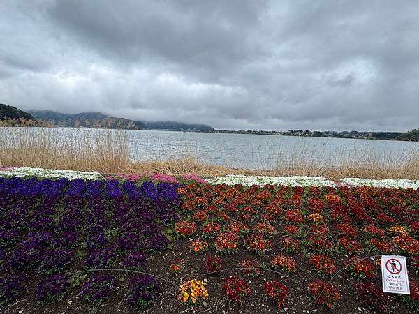 茨城縣、櫪木縣、秩父市、河口湖、東京 - 19.04.202