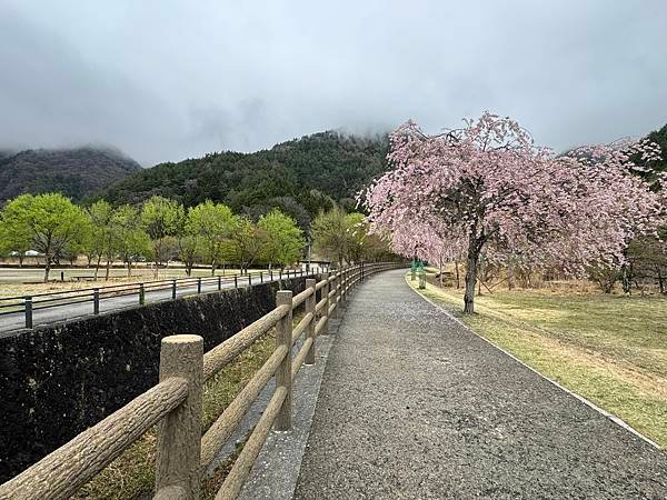 茨城縣、櫪木縣、秩父市、河口湖、東京 - 19.04.202