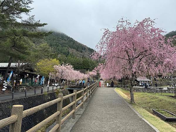 茨城縣、櫪木縣、秩父市、河口湖、東京 - 19.04.202