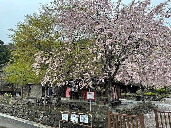 茨城縣、櫪木縣、秩父市、河口湖、東京 - 19.04.202