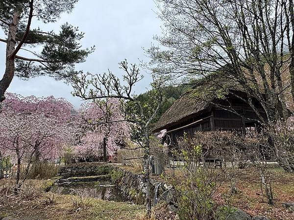 茨城縣、櫪木縣、秩父市、河口湖、東京 - 19.04.202