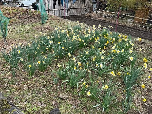 茨城縣、櫪木縣、秩父市、河口湖、東京 - 19.04.202