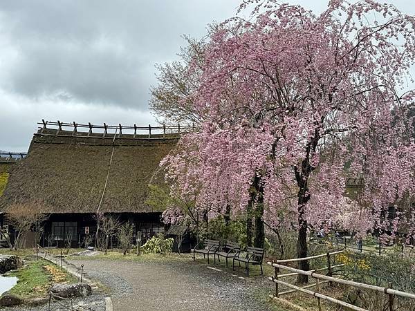 茨城縣、櫪木縣、秩父市、河口湖、東京 - 19.04.202