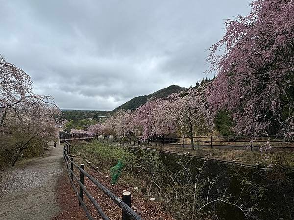 茨城縣、櫪木縣、秩父市、河口湖、東京 - 19.04.202