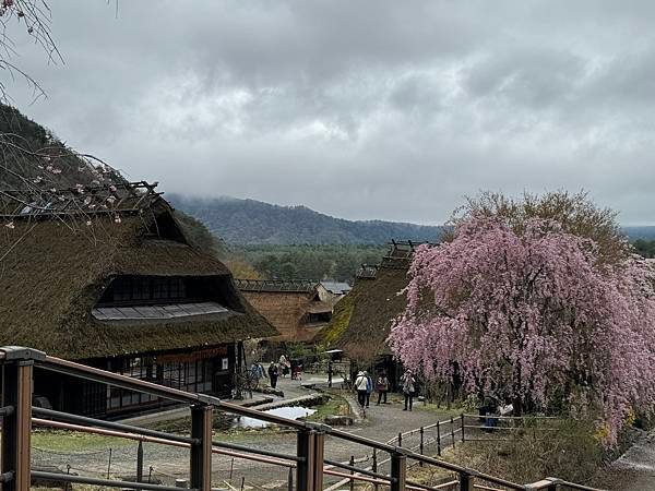 茨城縣、櫪木縣、秩父市、河口湖、東京 - 19.04.202