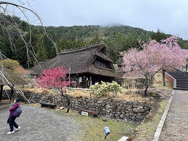 茨城縣、櫪木縣、秩父市、河口湖、東京 - 19.04.202