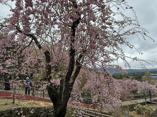 茨城縣、櫪木縣、秩父市、河口湖、東京 - 19.04.202