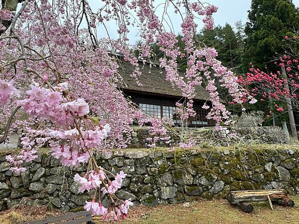 茨城縣、櫪木縣、秩父市、河口湖、東京 - 19.04.202