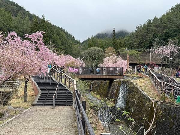 茨城縣、櫪木縣、秩父市、河口湖、東京 - 19.04.202