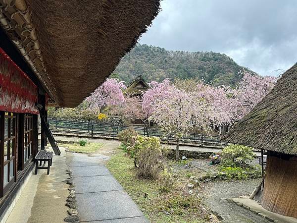 茨城縣、櫪木縣、秩父市、河口湖、東京 - 19.04.202