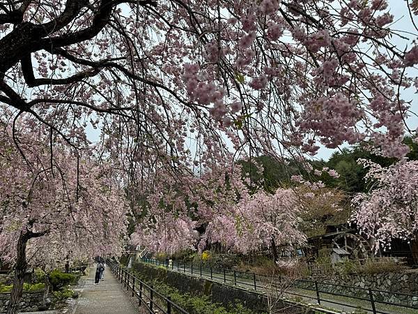 茨城縣、櫪木縣、秩父市、河口湖、東京 - 19.04.202