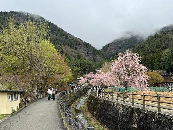 茨城縣、櫪木縣、秩父市、河口湖、東京 - 19.04.202