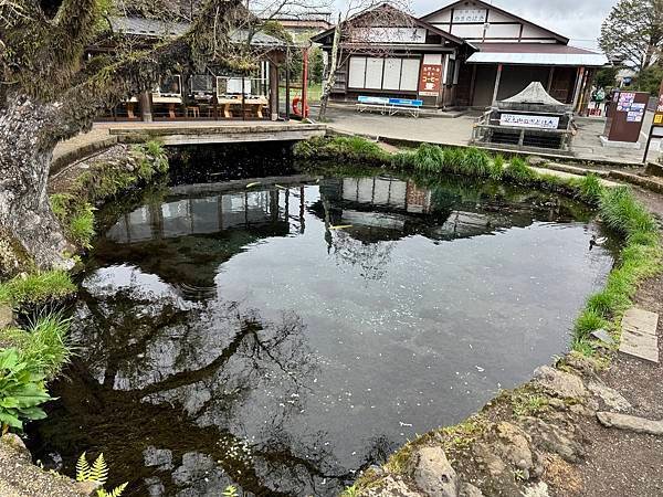 茨城縣、櫪木縣、秩父市、河口湖、東京 - 19.04.202