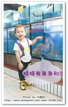 anigif.gif
