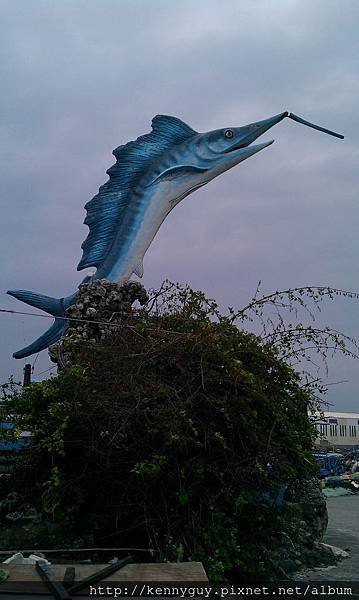 IMAG2935