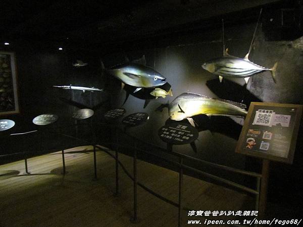 七星柴魚博物館 102.JPG