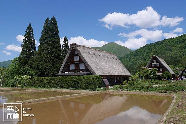 白川鄉合掌村 (20).JPG