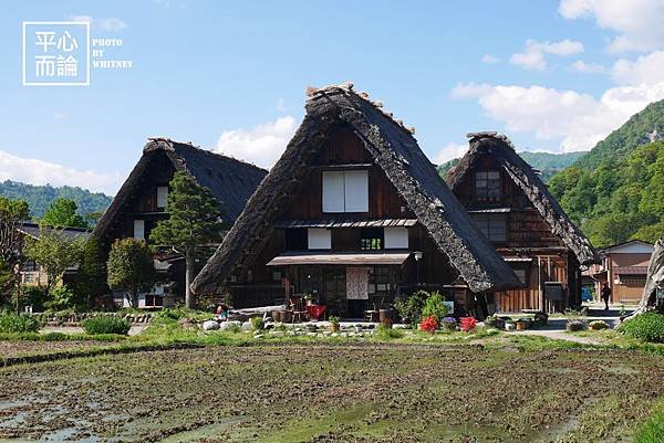 白川鄉合掌村 (36).JPG